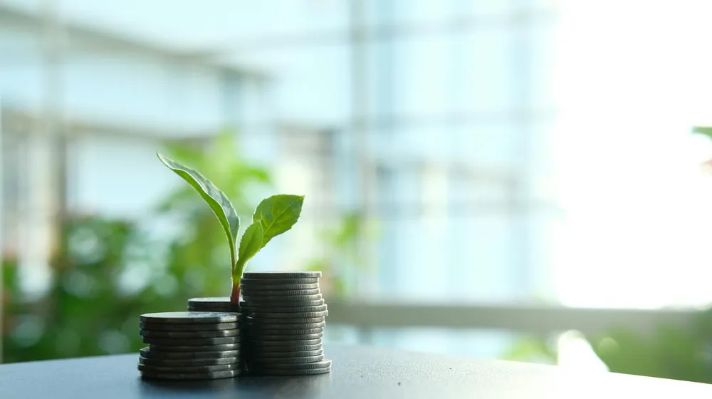 Coins stacked with a small plant growing — a website as an investment, not just a cost